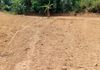 piliyandala Land For Rent in madapata - Mehr