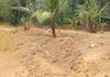 piliyandala Land For Rent in madapata - Ansicht 6