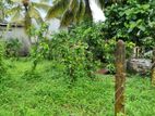 Piliyandala Land for Sale