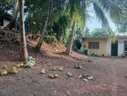 Piliyandala Madapatha Road 18.5 Perches of Land for Sale