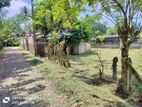 Piliyandala Polgasovita Land for Sale