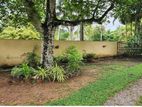Piliyandala Polgasowita 49 Perches Land for Sale
