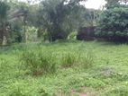Piliyandala Sri saranankara Road 32 Perches Land For Rent
