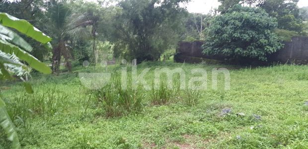 Piliyandala Sri saranankara Road 32 Perches Land For Rent, Colombo