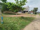 පිලියන්දල ,කහපොල බස් පාරට මුහුනලා බිම් කොටසක් විකිණීමට