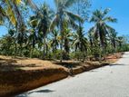 පිලියන්දල නේවාසික බිම් කොටස් විකිණීම