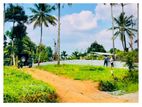 පිළිමතලාවේ දන්තුරේ පාරේ පර්චස් 12ක ඉඩම විකිණීමට