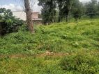 පිළියන්දල ඉඩම්