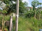පිළියන්දල කහතුඩුව පර්චස් 10 ඉඩම විකිණීමට ඇත