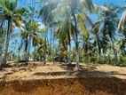 පිළියන්දල නේවාසික බිම් කොටස් විකිණීම