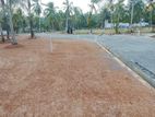 පිළියන්දල නගරයට ලගින්ම බටකෑත්තර පාර පේනදුරින් අගනා බිම් කොටස්