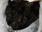 Pine Cones
