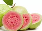 Pink Guava Plant