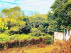 PINNACLE LAND IN HALBARAWA, THALANGAMA FOR SALE