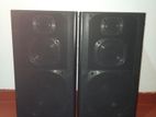 Pioneer Buffel Set