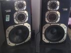 Pioneer Speaker System