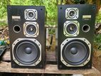 Pioneer Japan Buffle