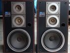 Pioneer Speaker Set