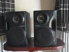 Pioneer Speaker System