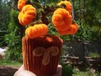 Pipe Cleaner Flower Pot