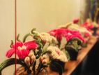 Pipe Cleaner Flowers / Artificial
