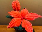 Pipe Cleaner Flowers