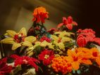 Pipe Cleaner Flowers