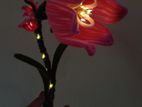 Tulip Flower Lamp