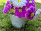 Pipe Cleaner Flower Pots
