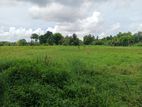 Land for Sale Anuradhapura