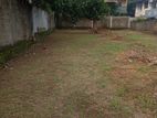 Pitakotte Epitamulla Rd 18.5 Perches top residential Land for Sale