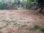 PITTA KOTTE – LAND FOR SALE