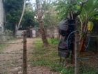 PITTA KOTTE – LAND FOR SALE