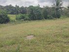 පිටිපන කජුගහදෙනියෙන් ඉඩමක් විකිණීමට