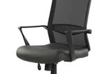 PIYESTRA HIGH BACK FLEXY CHAIR - ECH008