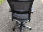 Piyestra Low Back Office Chair ECL05
