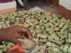 பல மருத்துவ குணங்களை