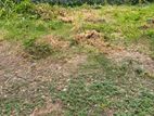 (PL1063) 19 Perch Residential Land for Sale in Dehiwala