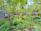 (PL790) 13.7 Perch Land for Sale in Boralesgamuwa