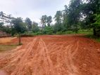 (PL798) 15 Perch Land for Sale in Ekala