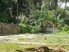 Land for Sale in Jaffna