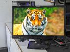 Planer 22 Inch Full Hded Monitor