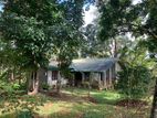 Plantation Property with Cottage on 12.5 Acres – Kurunegala District