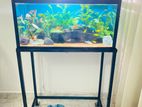 Planted Fish Tank with