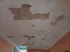 Painting Service