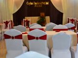 plastic and hotel steel chair covers