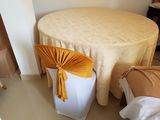 Plastic Chair Covers Stretch