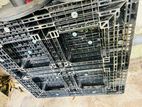 Plastic Pallets