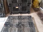 Plastic Pallets