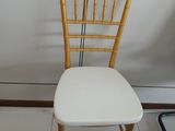 Plastic Tiffany Chairs with cushion